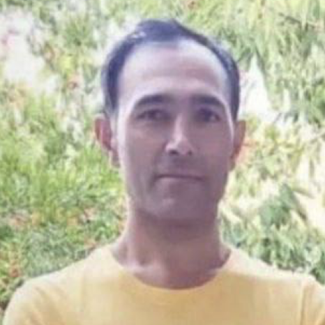 Hossein Amani Nadarli