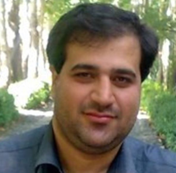Mehdi Mahmoudian