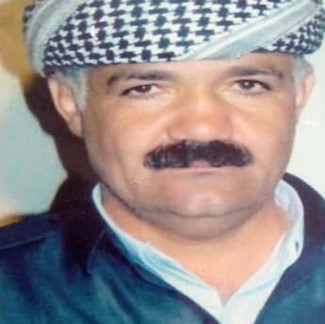 Majid Daryaei