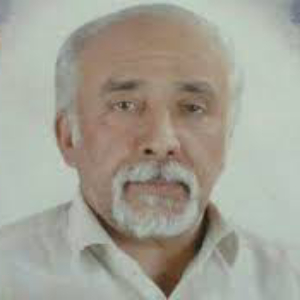 Iraj Tobehiha Najaf Abadi