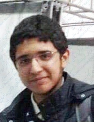 Seyvan Alizadeh