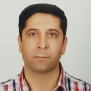 Hamid Ghareh Hassanlou