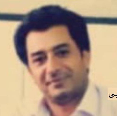 Mohammad Reza Narouei