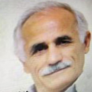Mehdi Saeedi Sakha
