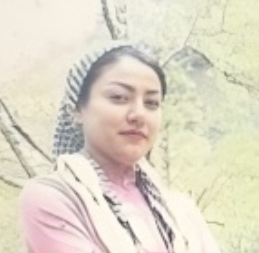 Afsaneh Shahi