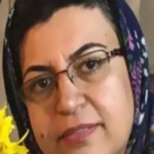 Vida Haghighi Najafabadi