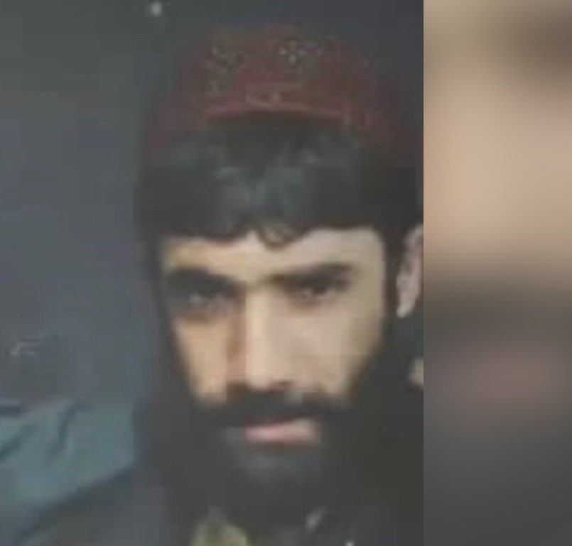 Hossein Sargolzai