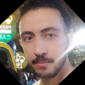 Ehsan Karimi