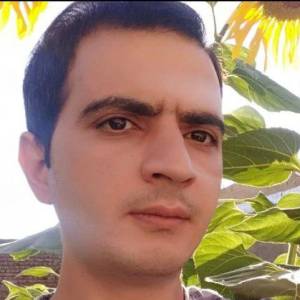 Meysam Gholami