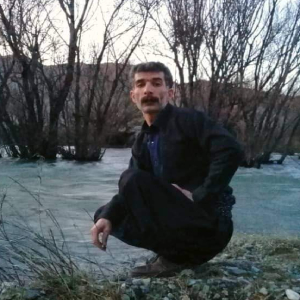 Sedigh Seyfi