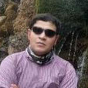 Reza Rashidi