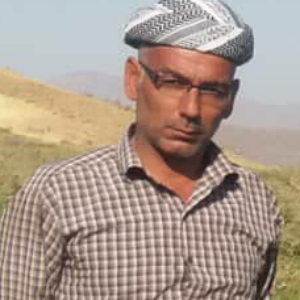 Nader Ziaeifar