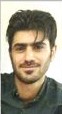 Soheil Zarei