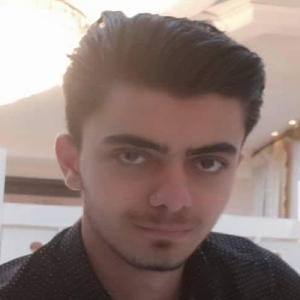 Amir Hossein Mohseni