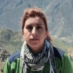 Faranak Jamshidi
