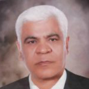 Mohammad Gholi Seyfi