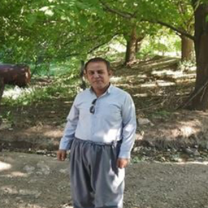 Hazhar Mahmoudian