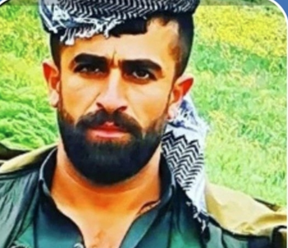 Behzad Mohammadi