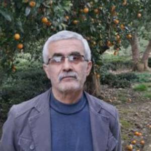 Mohammad Javad Hojjat Saeedi
