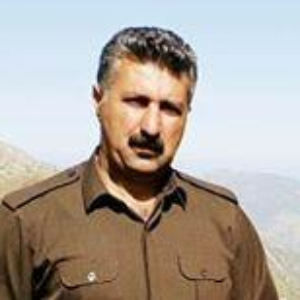 Naseh Fattahi