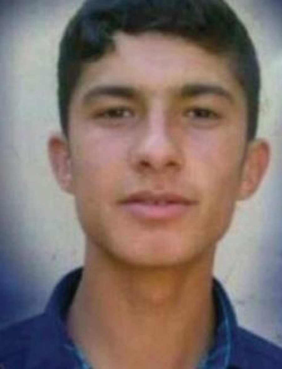 Hamzeh Hosseinzadeh
