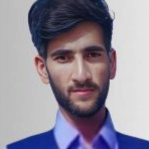 Hamed Shirouzahi