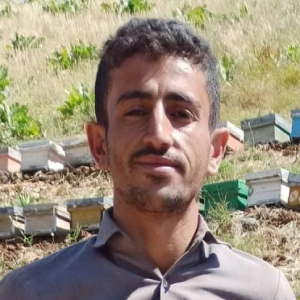 Ali Zavari