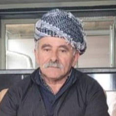 Mohammad Amin Mohammadi