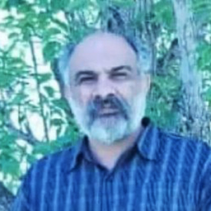 Fariborz Shah Ebrahimi