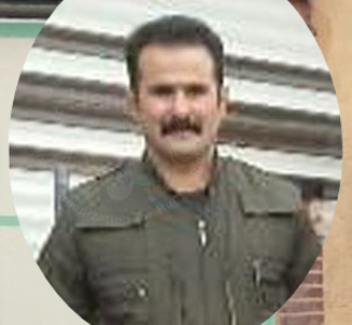 Hadi Alipour