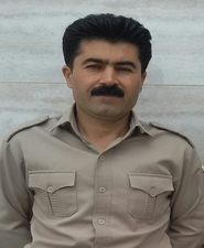 Mostafa Feyzollahpour
