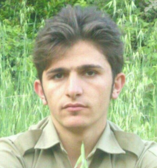 Arash Sharifi