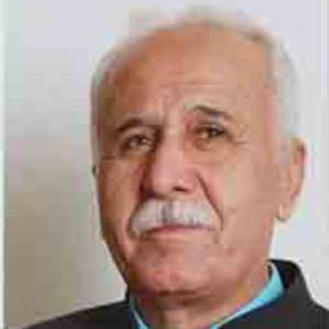Ahmad Mamzadeh