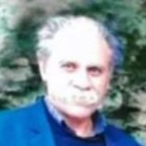 Farhad Zolnouri