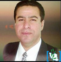 Ramin Zibaei