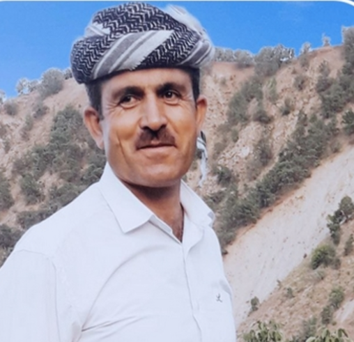 Naser Alipour