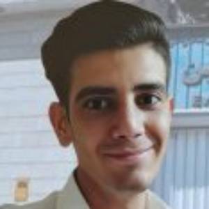 Mohammad Mehdi Houshyar