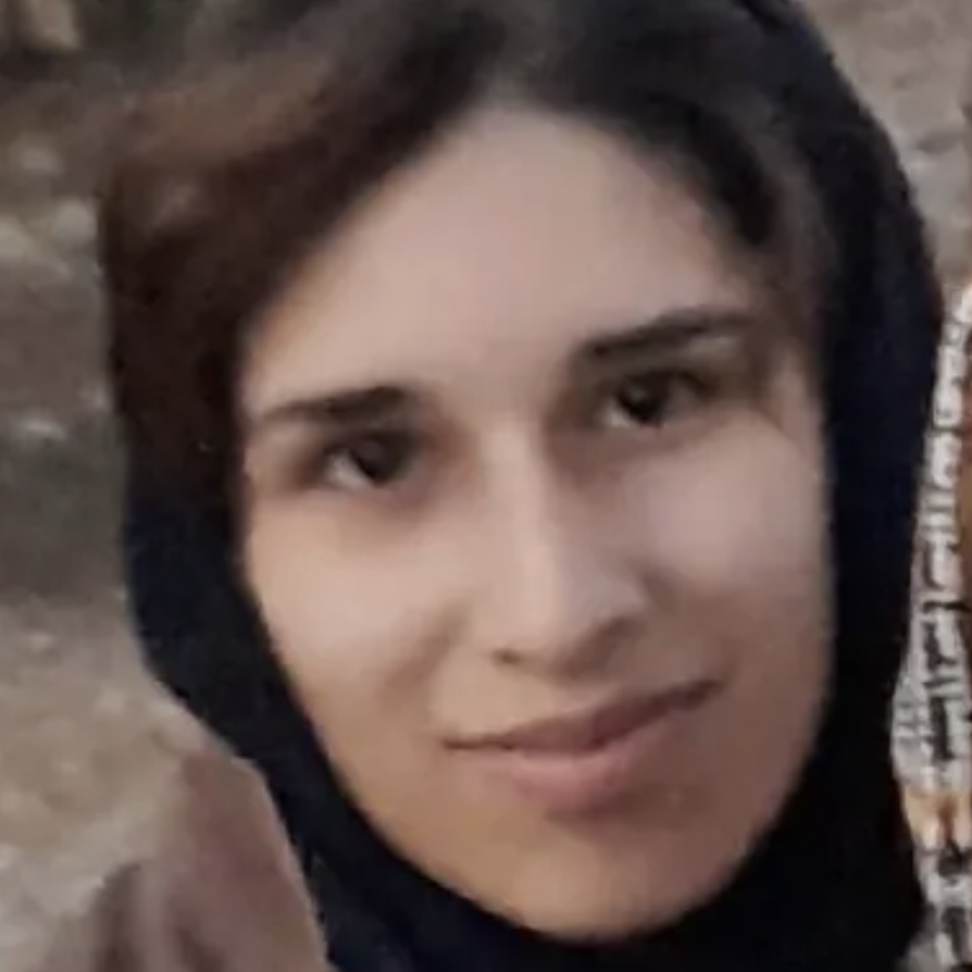 Zahra Mortazavi Chegeni