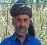 Hamed Dadsetan