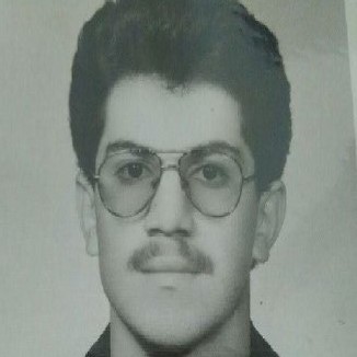 Hamed Nargesi