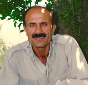 Ali Gol Mohammadi