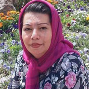 Parisa Sobhanian Najaf Abadi