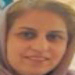 Banafsheh Mokhtari