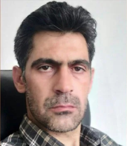 Ali Shahi