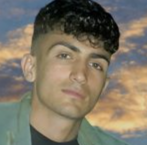 Fardin Parsaei
