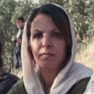 Farideh Veysi