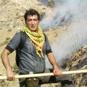 Fardin Karimi