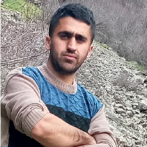 Behzad Advaei