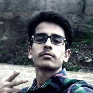 Ardavan Falahi