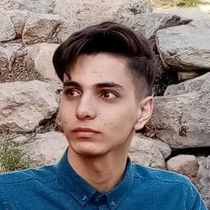 Mohammad Amin Moradgholi